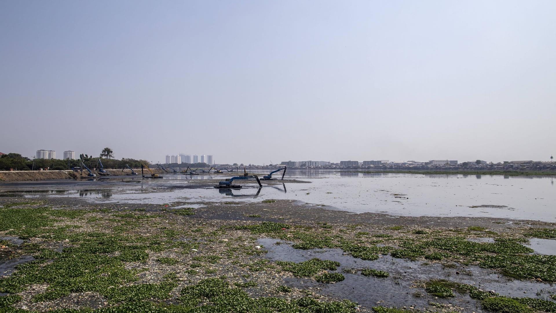 Überschwemmte Wiesen in Jakarta: 20 Prozent der Stadt liegen schon heute unter dem Meeresspiegel. Laut Schätzungen könnten es 2050 bis zu 40 Prozent sein.