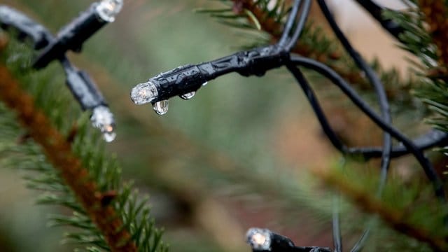 Wasser und Strom sind keine gute Kombination: Lichterketten für den Außenbereich brauchen einen Spritzwasserschutz.