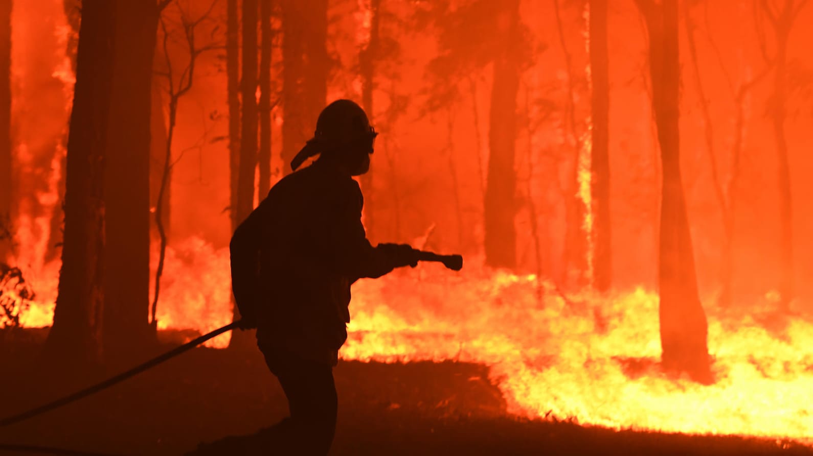 Buschbrand bei Sydney: Fast überall auf der Welt war es 2019 wärmer als im Durchschnitt, so auch in Australien. (Symbolfoto)