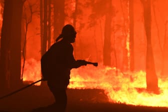 Buschbrand bei Sydney: Fast überall auf der Welt war es 2019 wärmer als im Durchschnitt, so auch in Australien. (Symbolfoto)