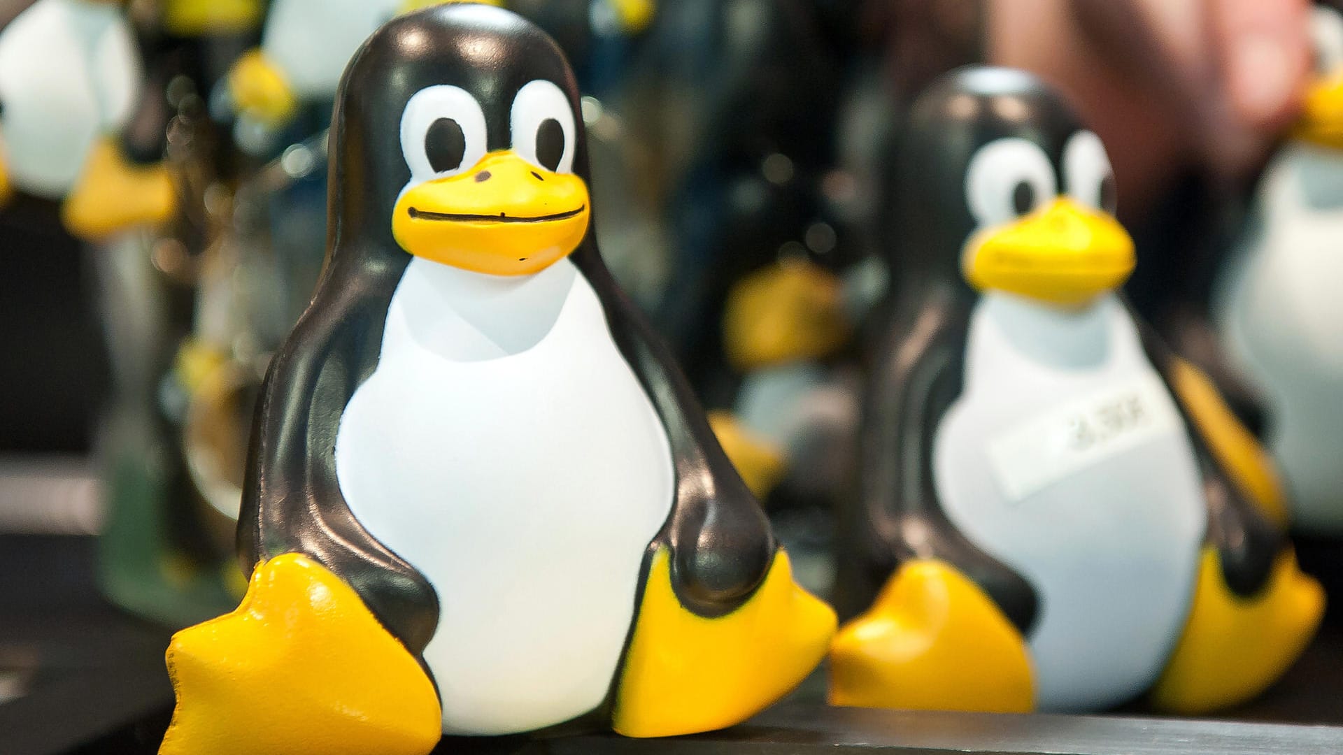 Masskottchen Pinguin Tux: Linux kann eine Alternative zu Windows sein.