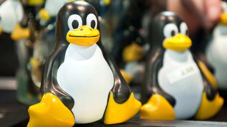 Masskottchen Pinguin Tux: Linux kann eine Alternative zu Windows sein.
