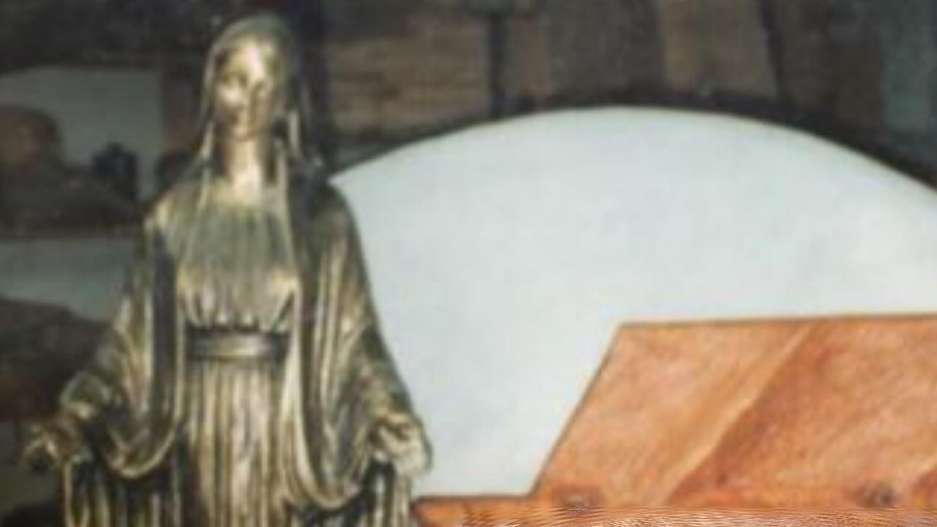Die Madonna-Statue: Der Rentner vermisst das Schmuckstück.