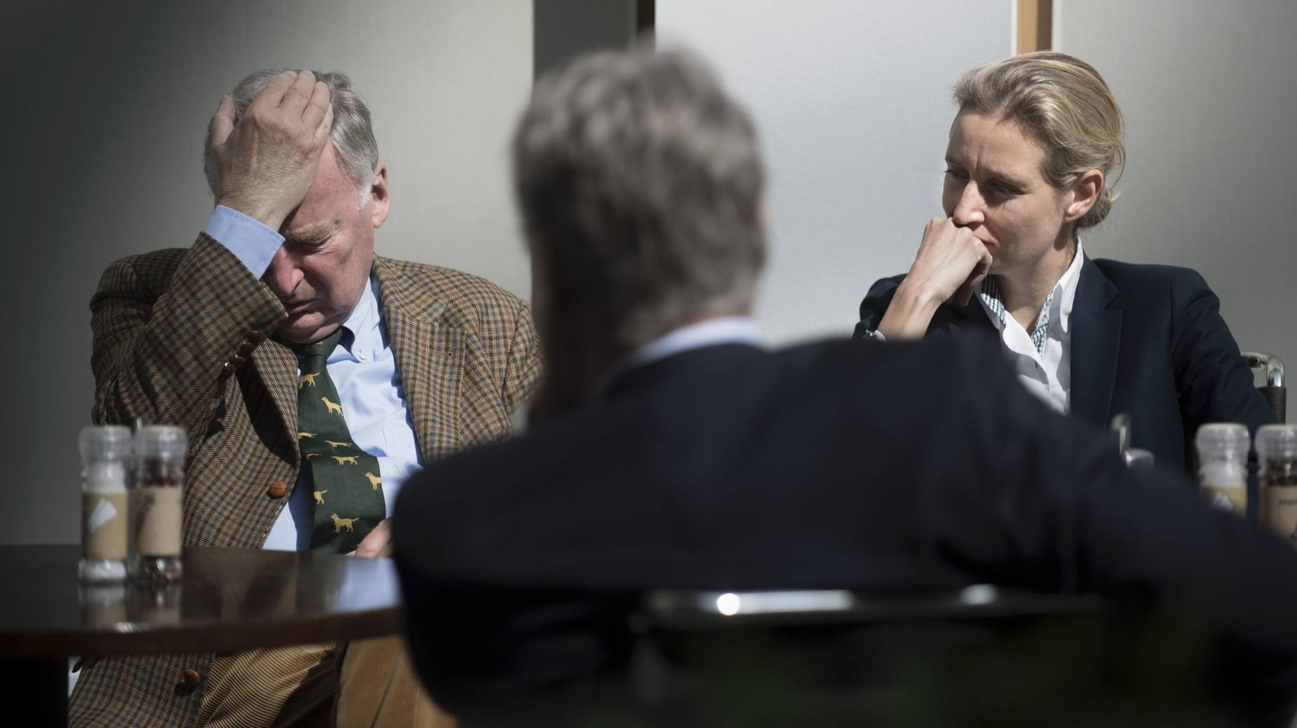 Die Bundessprecher Alexander Gauland (l.) und Jörg Meuthen mit Fraktionsvorsitzender Alice Weidel: Der AfD droht neuer Spendenärger.