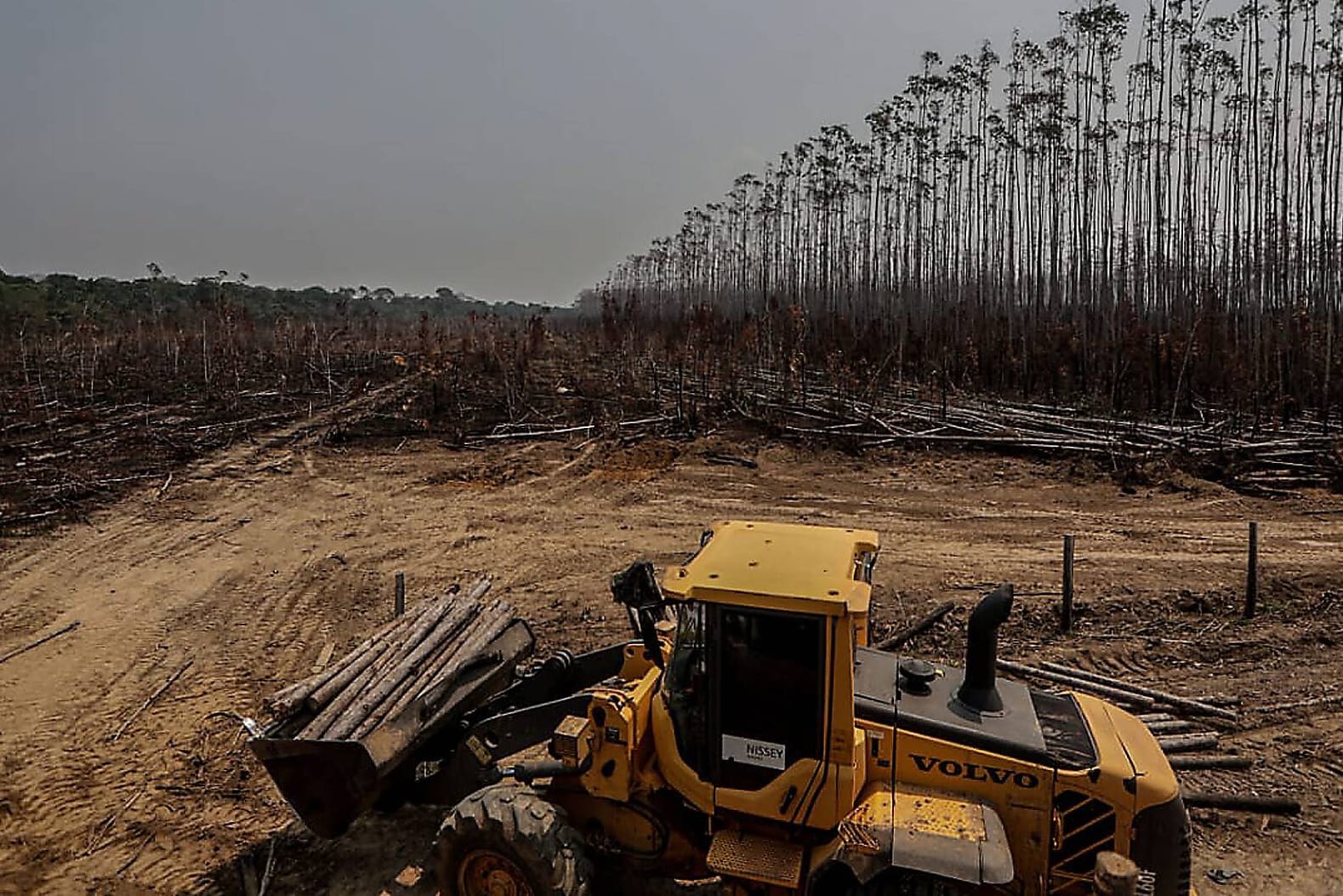 Eine zerstörte Plantage nach einem Waldbrand in Brasilien: Die Brände werden auch gezielt zur Rodung von Regenwald eingesetzt.