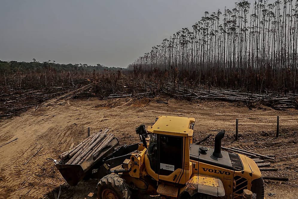 Eine zerstörte Plantage nach einem Waldbrand in Brasilien: Die Brände werden auch gezielt zur Rodung von Regenwald eingesetzt.