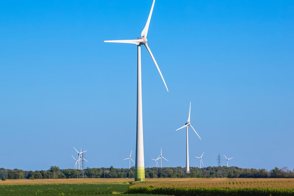 Windkrafträder: Windräder lieferten in diesem Jahr so viel Strom wie noch nie.