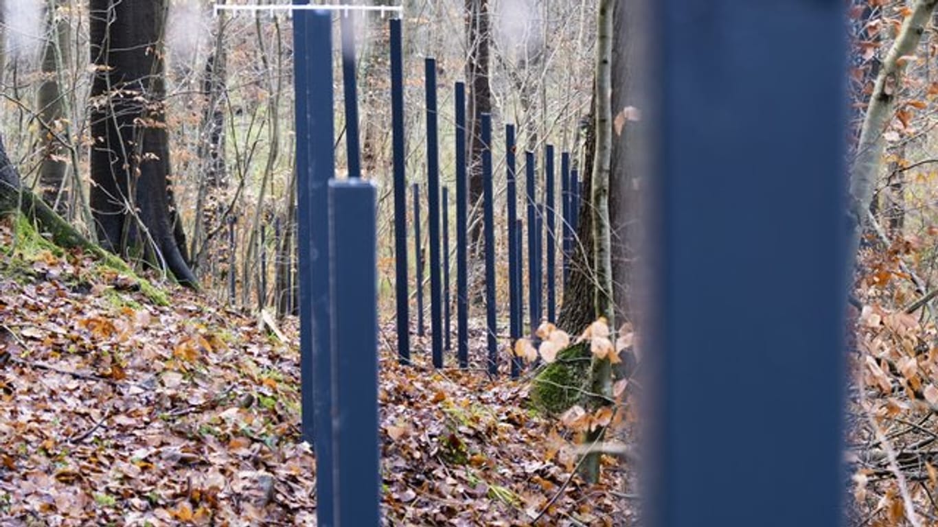 In wenigen Tagen dürfte der umstrittene Wildschweinzaun an der deutsch-dänischen Grenze fertig sein.