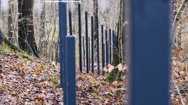 In wenigen Tagen dürfte der umstrittene Wildschweinzaun an der deutsch-dänischen Grenze fertig sein. In wenigen Tagen dürfte der umstrittene Wildschweinzaun an der deutsch-dänischen Grenze fertig sein.