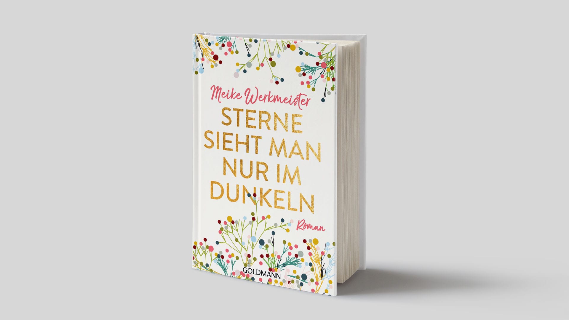 Cover von Meike Werkmeister – "Sterne sieht man nur im Dunkeln": Das perfekte Buch für entspannte Stunden.