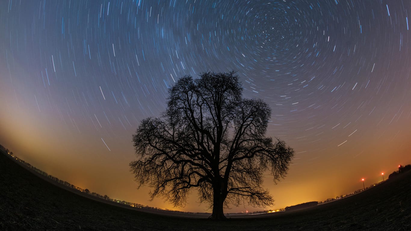 Durch eine Langzeitbelichtung wird am Sternenhimmel über einem einzelnen Baum die Erdrotation um den Polarstern sichtbar: 2020 sind spannende Himmelsereignisse zu sehen.