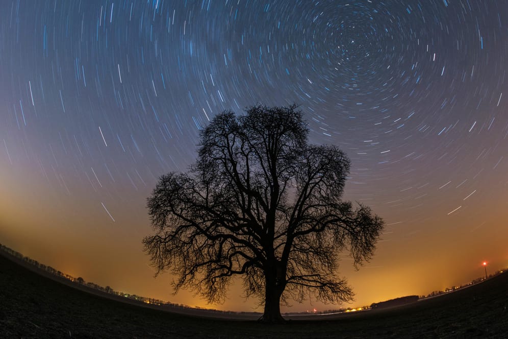 Durch eine Langzeitbelichtung wird am Sternenhimmel über einem einzelnen Baum die Erdrotation um den Polarstern sichtbar: 2020 sind spannende Himmelsereignisse zu sehen.