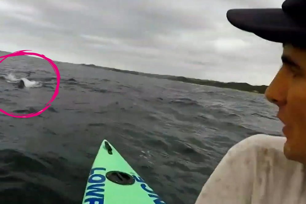 Bradley Beamish: Der Kajakfahrer filmt, wie er von einem Weißen Hai verfolgt wird.