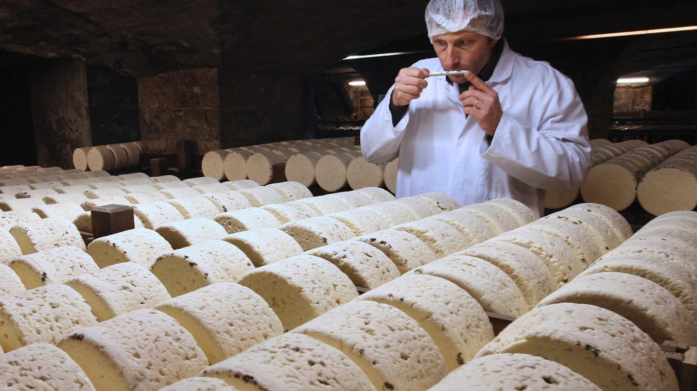 Bernard Roques riecht an reifendem Roquefort: Die US-Regierung droht mit Strafzöllen auf französischen Käse.