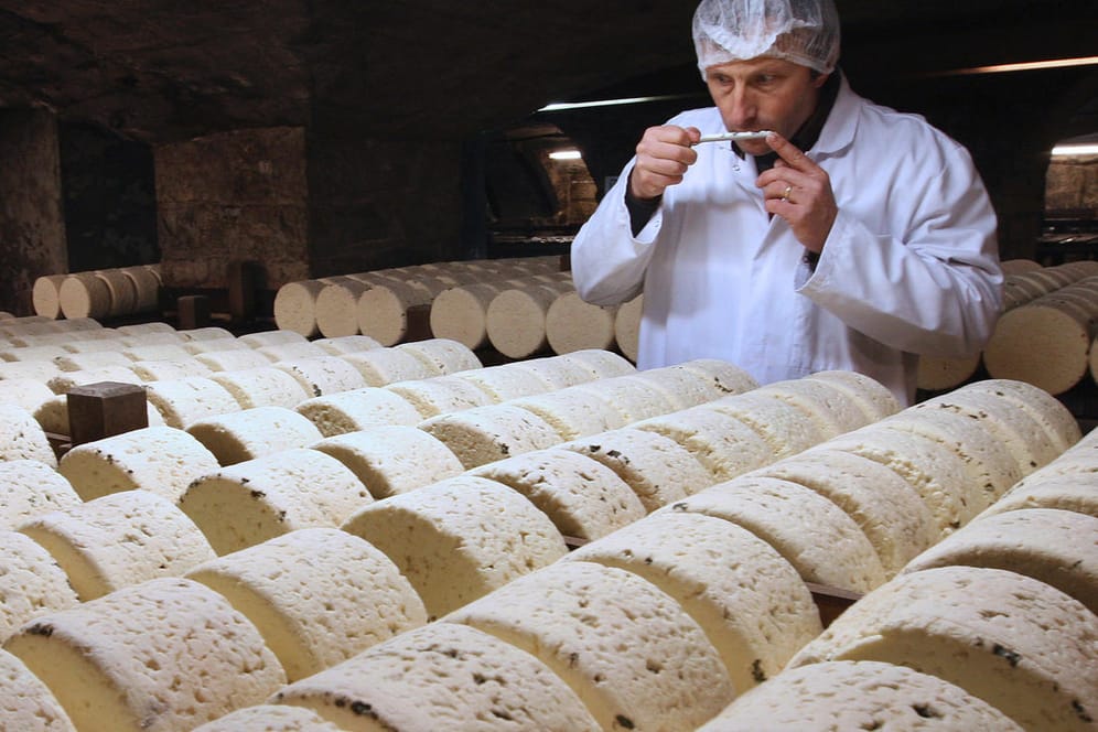 Bernard Roques riecht an reifendem Roquefort: Die US-Regierung droht mit Strafzöllen auf französischen Käse.