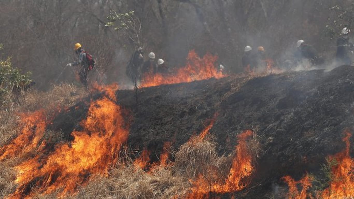 Polizei und Feuerwehrleute versuchen, ein Feuer im Chiquitano-Wald am Rande zu löschen.