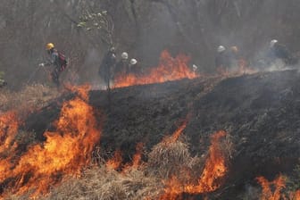 Polizei und Feuerwehrleute versuchen, ein Feuer im Chiquitano-Wald am Rande zu löschen.