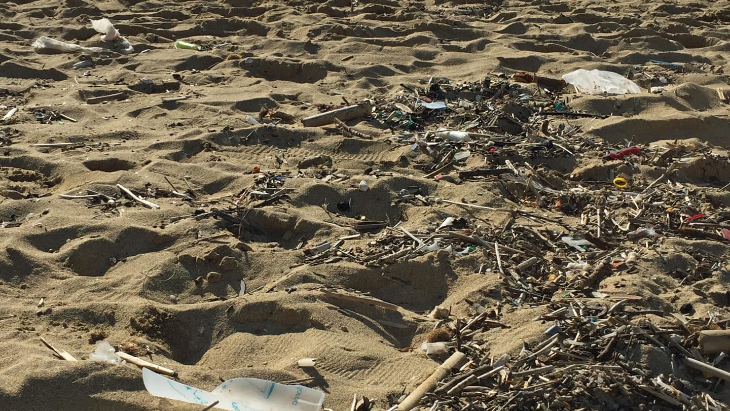 Ein verschmutzter Strand nahe Palma: Die gut besuchten Sommer sind Segen für die Tourismusbranche, aber Fluch für die Natur.