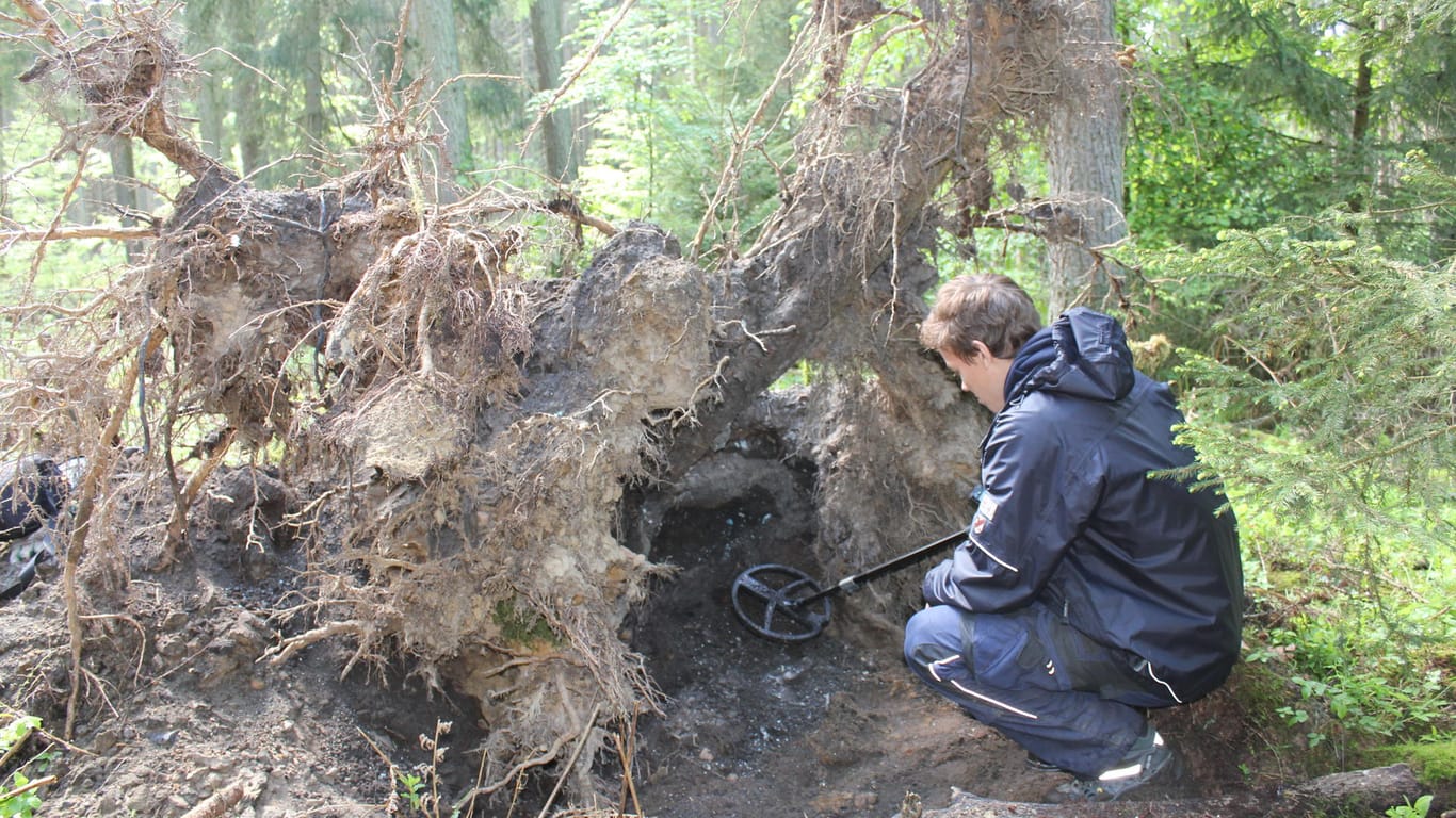 Suche im Wald: Mit Detektoren suchten Archäologen nach den Überresten des B-17-Bombers.