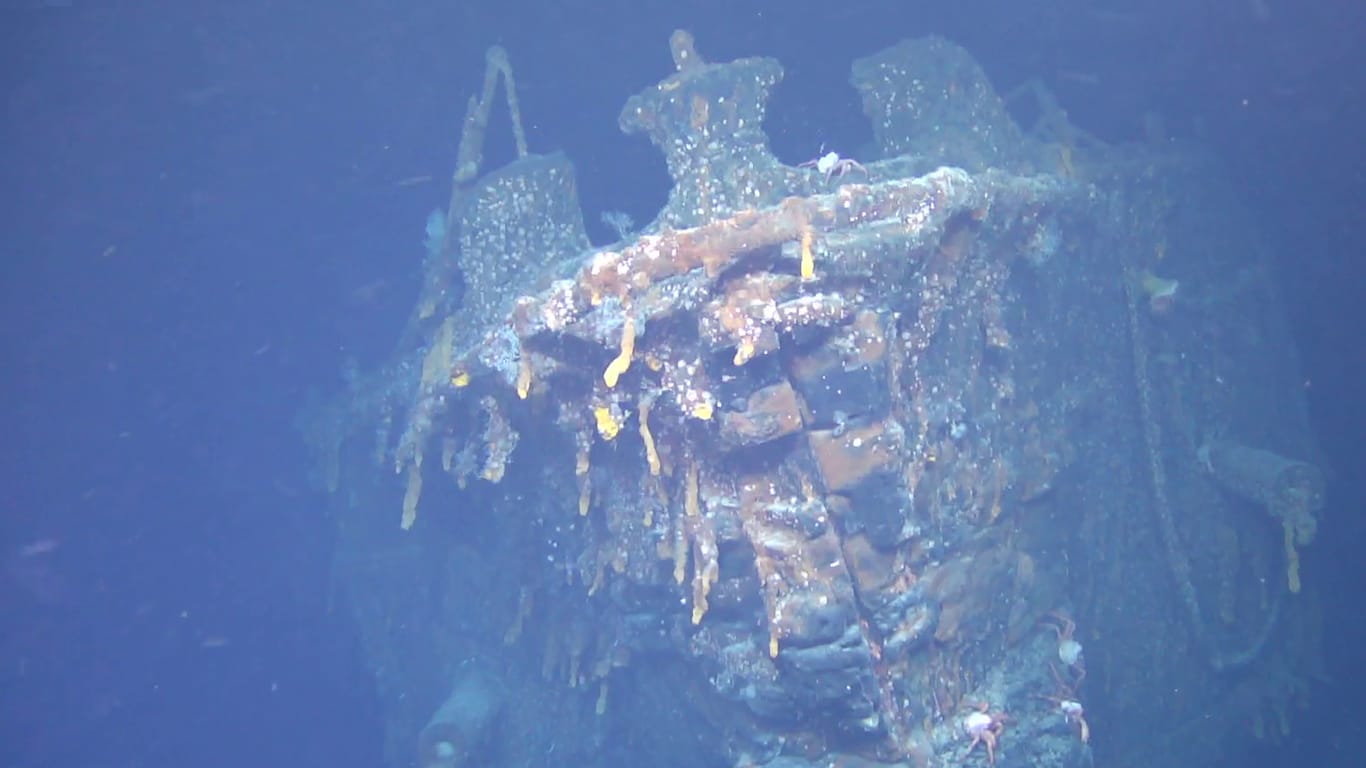 Unterwasseraufnahme der "SMS Scharnhorst": Das Wrack des deutschen Kriegsschiffes wurde vor den Falklandinseln im Südatlantik entdeckt.
