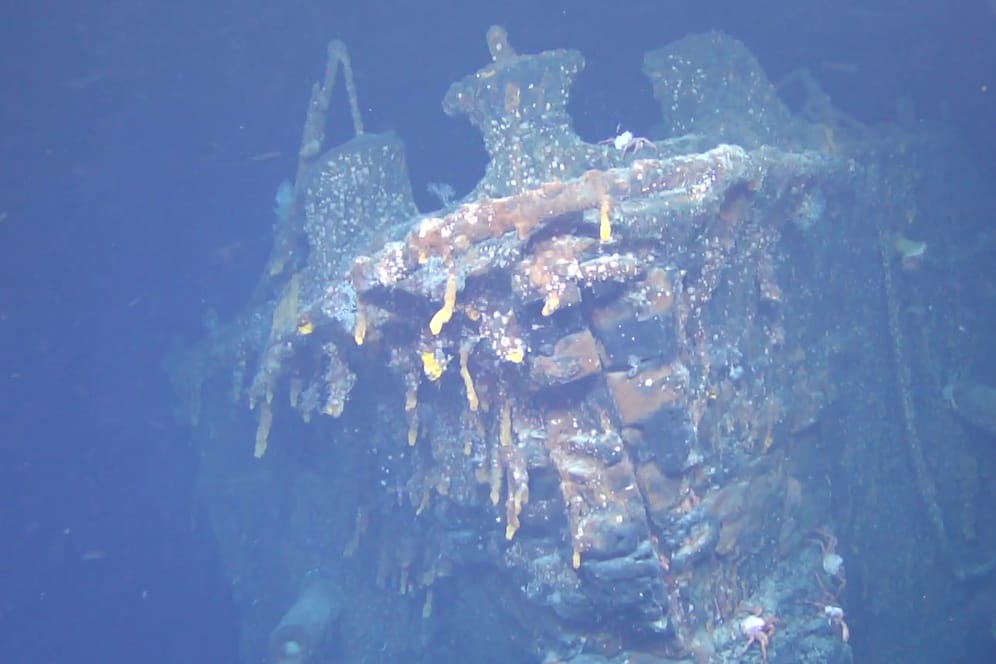 Unterwasseraufnahme der "SMS Scharnhorst": Das Wrack des deutschen Kriegsschiffes wurde vor den Falklandinseln im Südatlantik entdeckt.