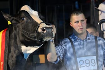 Sie war die Schönste: Landwirt Henrik Wille mit seiner hochdekorierten schwarz-weißen Holstein-Kuh "Lady Gaga".