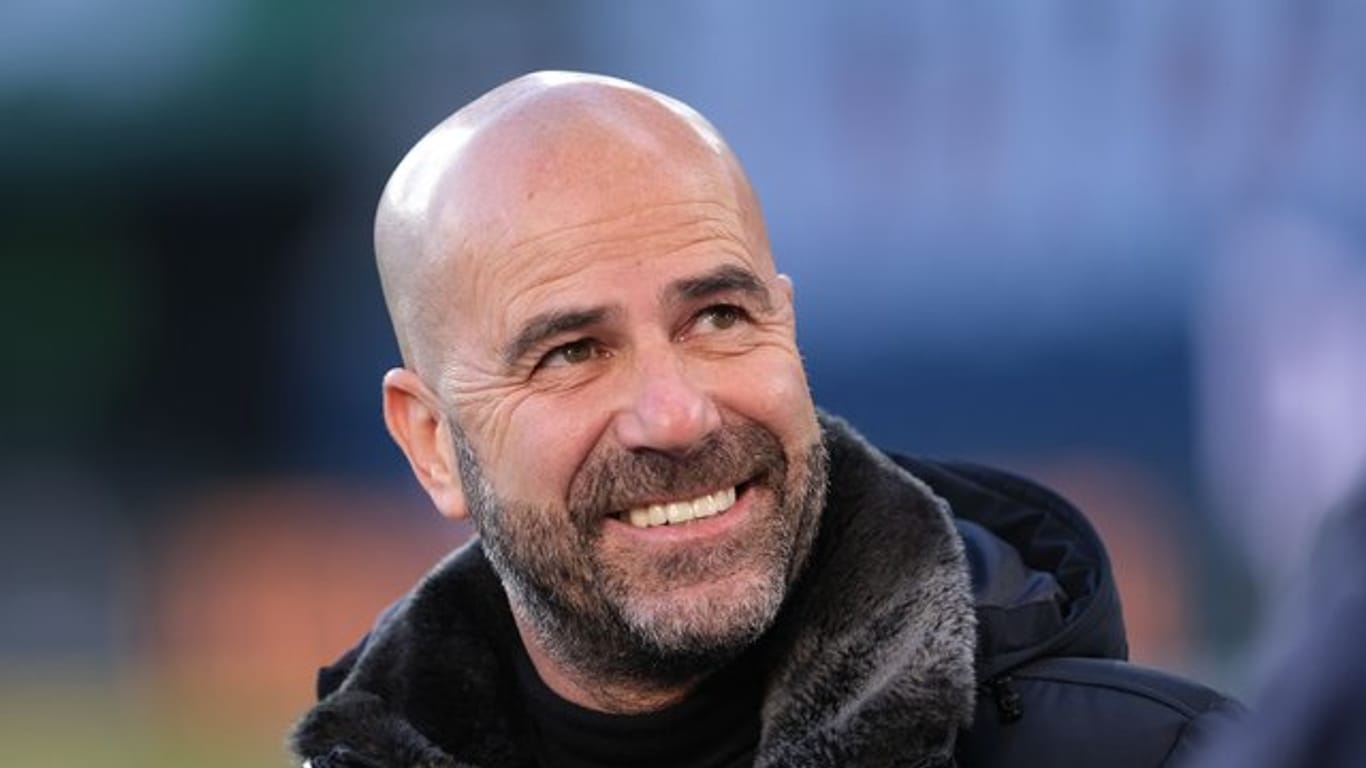 Kann sich gegen Schalke auf einen neuen Rasen freuen: Leverkusen-Coach Peter Bosz.