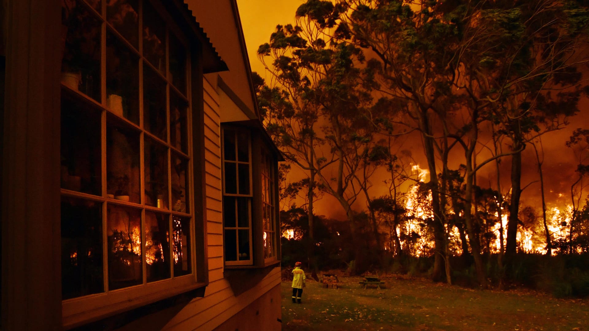 Ein Buschfeuer südlich von Sydney: Auch das Wetter in den nächsten Tagen verspricht keine Besserung – Hitze, Trockenheit und Wind sind angesagt.