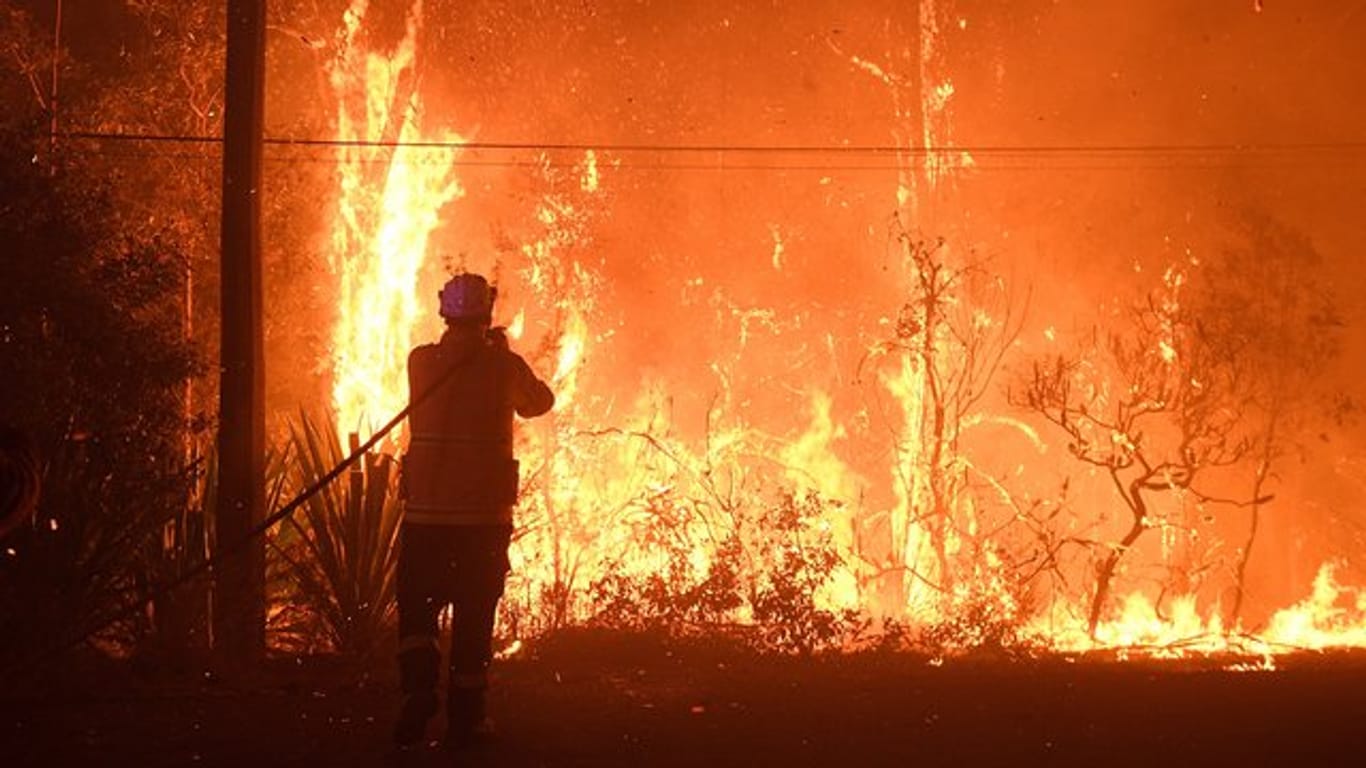 Unweit von Sydney haben sich mehrere Buschbrände zu einem "Mega-Feuer" vereint.