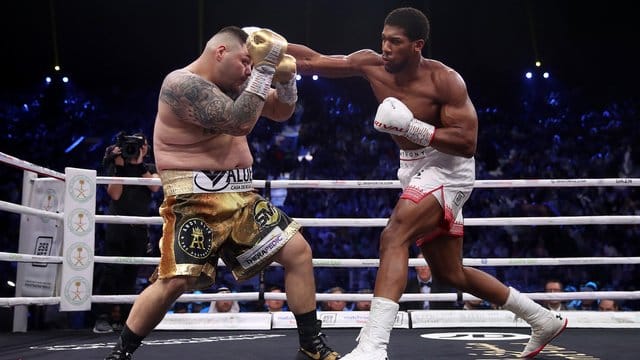 Anthony Joshua (r) ist durch einen einstimmigen Punktsieg über Andy Ruiz Jr.