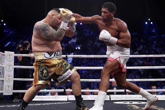 Anthony Joshua (r) ist durch einen einstimmigen Punktsieg über Andy Ruiz Jr.