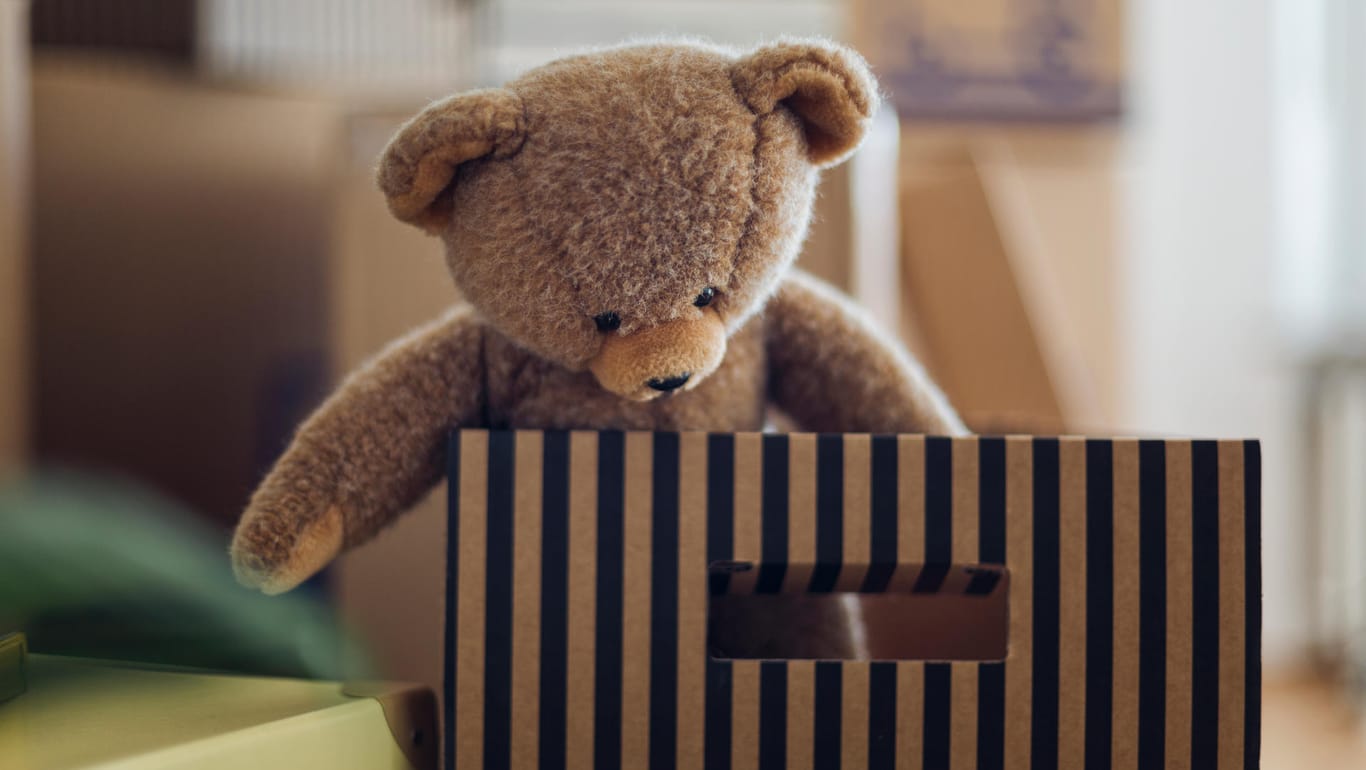 Ein Teddybär in einem Pappkarton: Das Spielzeug war für Kinder einer Einrichtung im nahegelegenen Ebeleben bestimmt. (Symbolbild)
