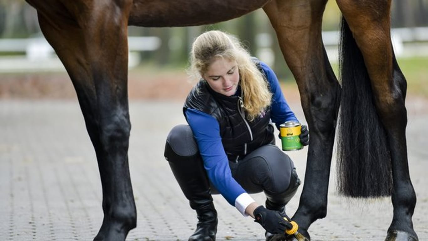 Die angehende Pferdewirtin Katharina Grupen kümmert sich gern um Tiere.