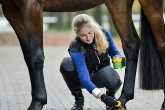 Die angehende Pferdewirtin Katharina Grupen kümmert sich gern um Tiere.