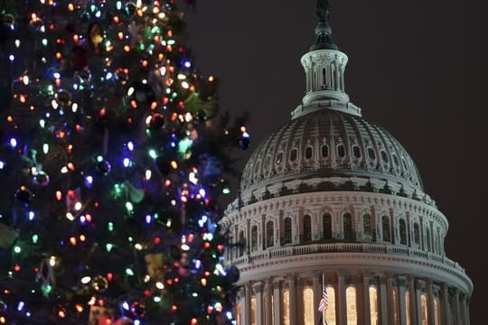 Ein Weihnachtsbaum vor dem Kapitol in Washington.