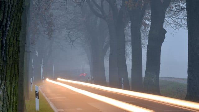 Mit H7-Lampen geben Scheinwerfer in der Regel ein stärkeres Licht ab als mit H4-Leuchtmitteln.