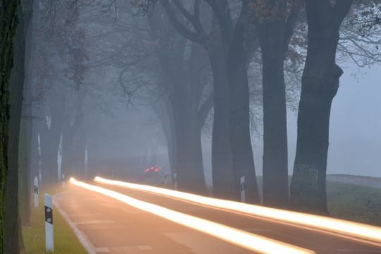 Mit H7-Lampen geben Scheinwerfer in der Regel ein stärkeres Licht ab als mit H4-Leuchtmitteln.