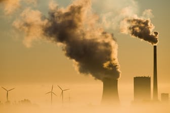 Das Kohlekraftwerk Mehrum und Windräder produzieren Strom im Landkreis Peine: Für den Klima-Deal der EU muss sich das Land verändern.