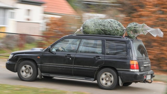 Sieht schon ganz gut aus: Kommt der Weihnachtsbaum aufs Autodach, sollte er mit der Spitze nach hinten an den Gepäckträgern fixiert werden. Sieht schon ganz gut aus: Kommt der Weihnachtsbaum aufs Autodach, sollte er mit der Spitze nach hinten an den Gepäckträgern fixiert werden.