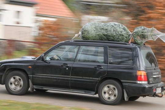 Sieht schon ganz gut aus: Kommt der Weihnachtsbaum aufs Autodach, sollte er mit der Spitze nach hinten an den Gepäckträgern fixiert werden.