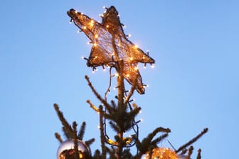 Stern auf der Spitze eines Christbaums (Symbolbild): Die Diebe in Schöneberg hatten im wahrsten Sinne des Wortes ihre Spuren nicht verwischt.