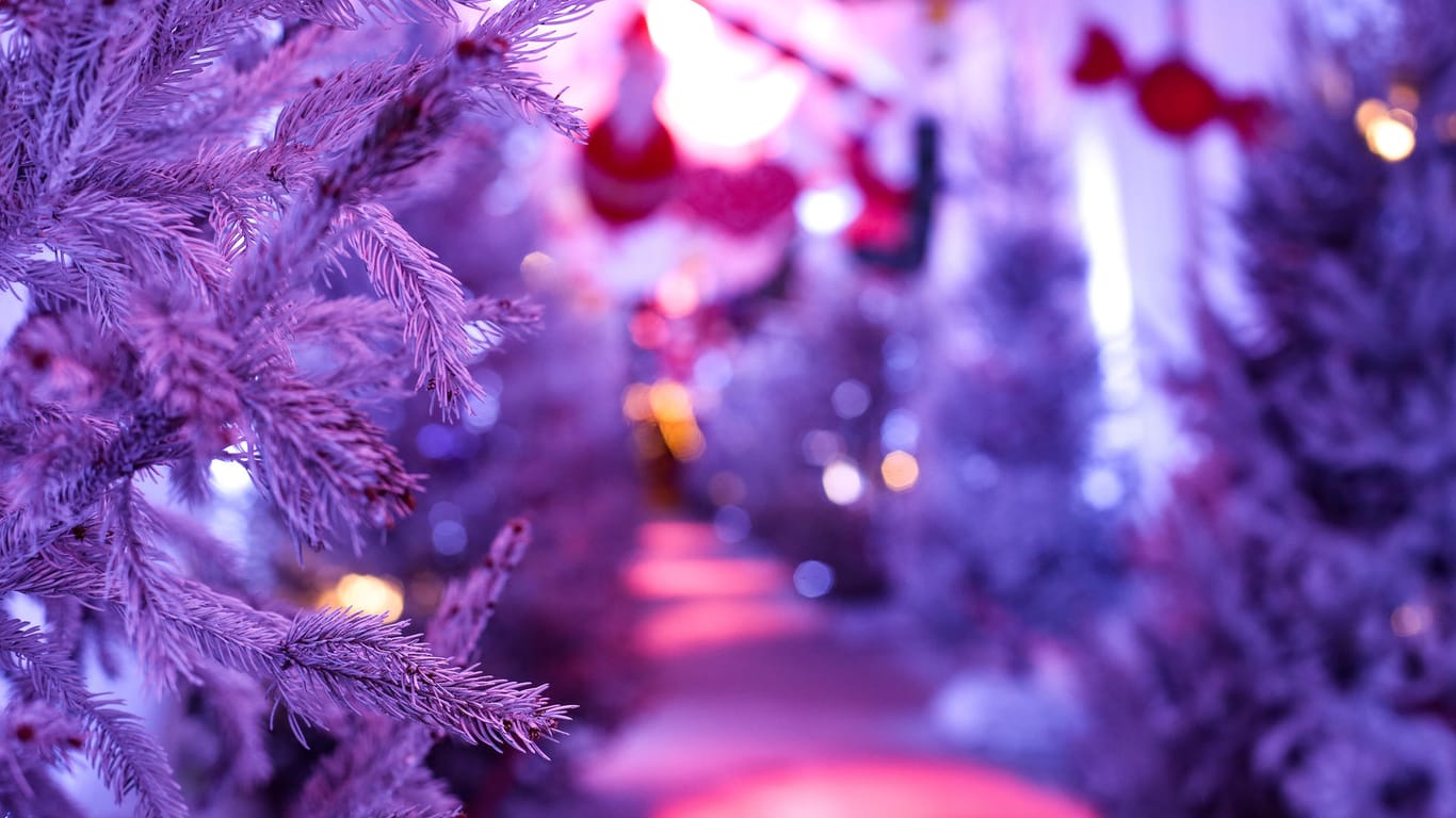 Weihnachtliche Dekoration: Besinnlich ging es auf der Weihnachtsfeier des Münchner Matrosenchors nicht zu.