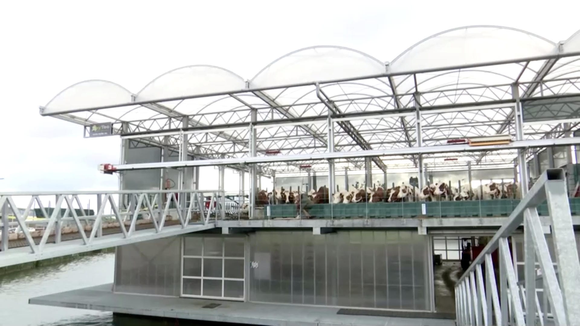 Die "Floating Farm" im Hafen von Rotterdam: Seit diesem Jahr leben 40 Kühe und produzieren in der autark produzierenden Farm jeden Tag knapp 800 Liter Milch.