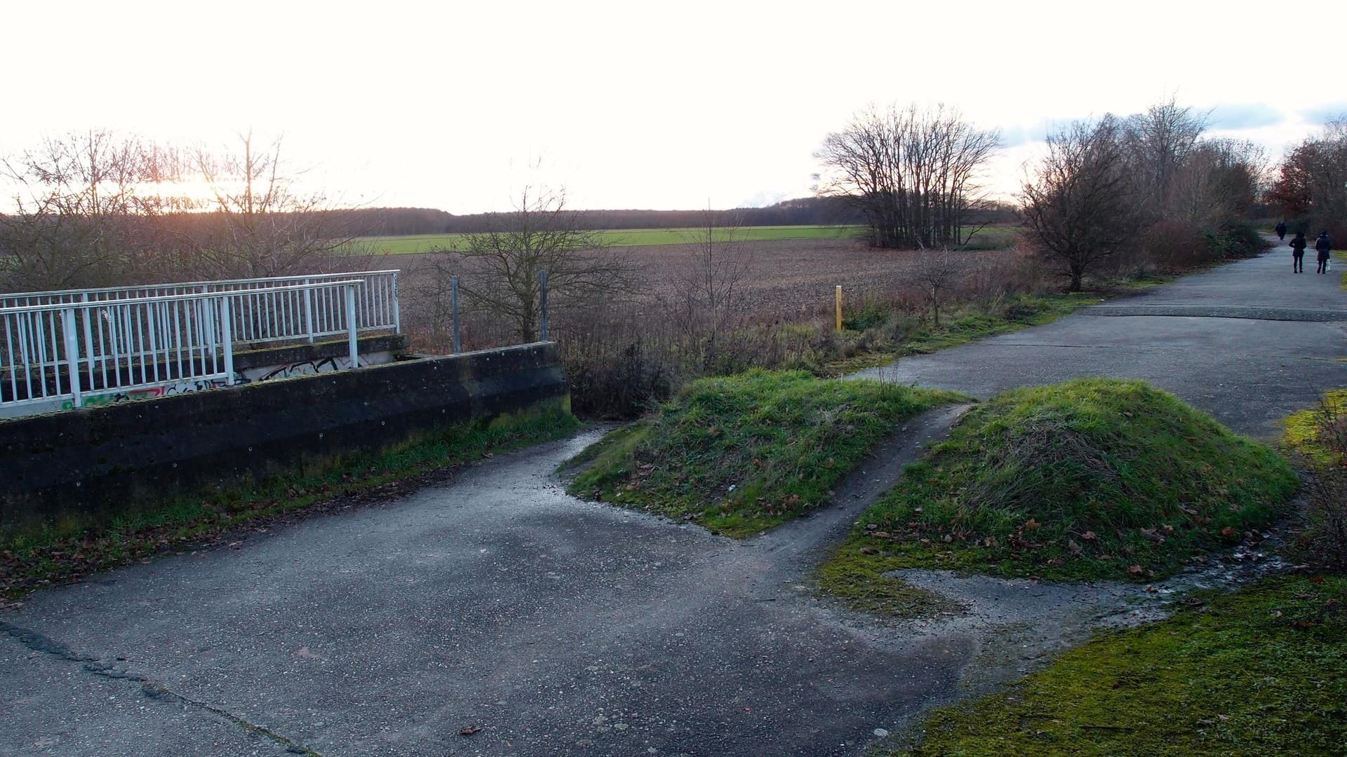 Ackergrund im Norden von Köln: Hier sollen bald Tausende Menschen in einem neuen Viertel leben.