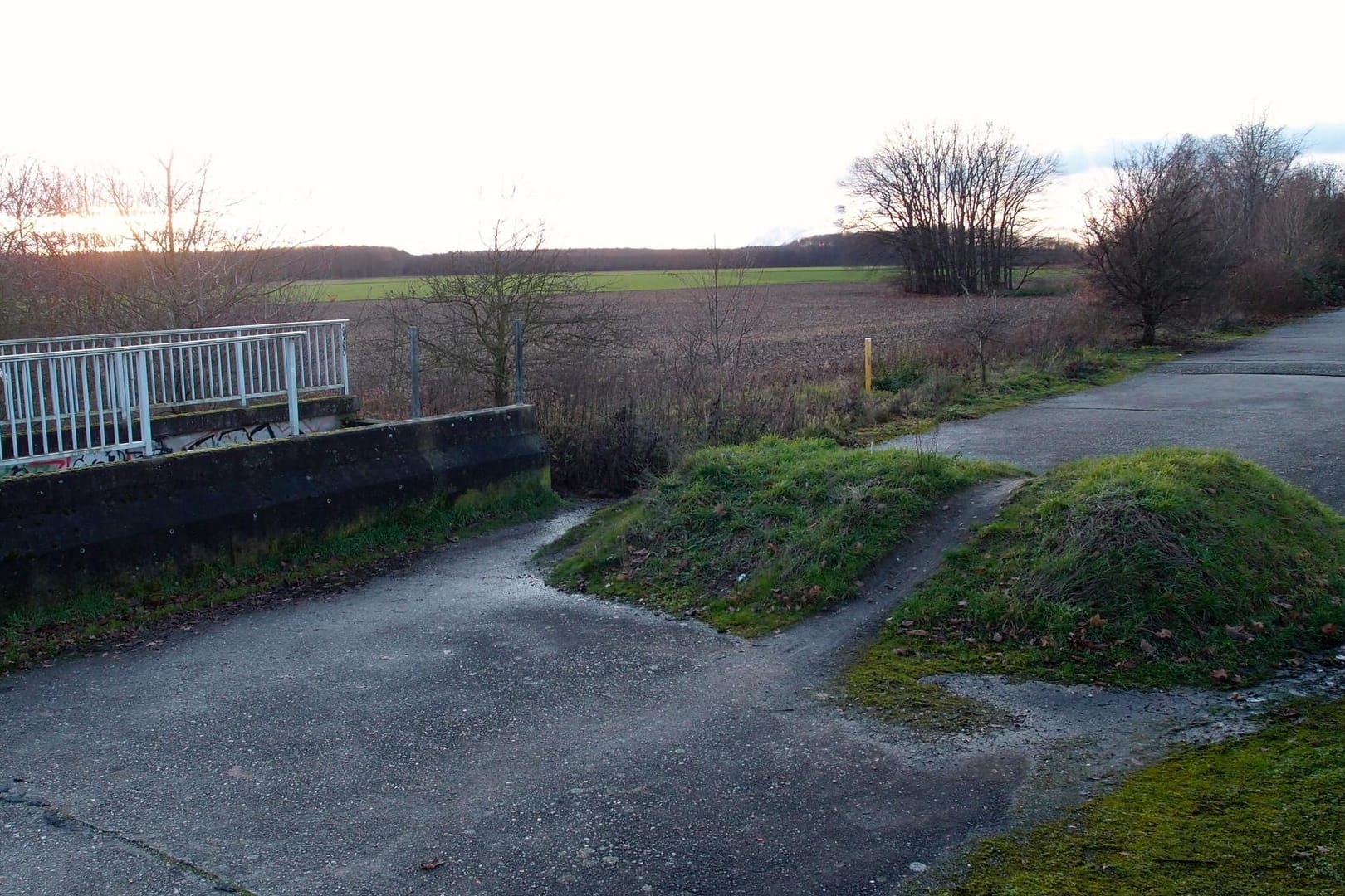 Ackergrund im Norden von Köln: Hier sollen bald Tausende Menschen in einem neuen Viertel leben.