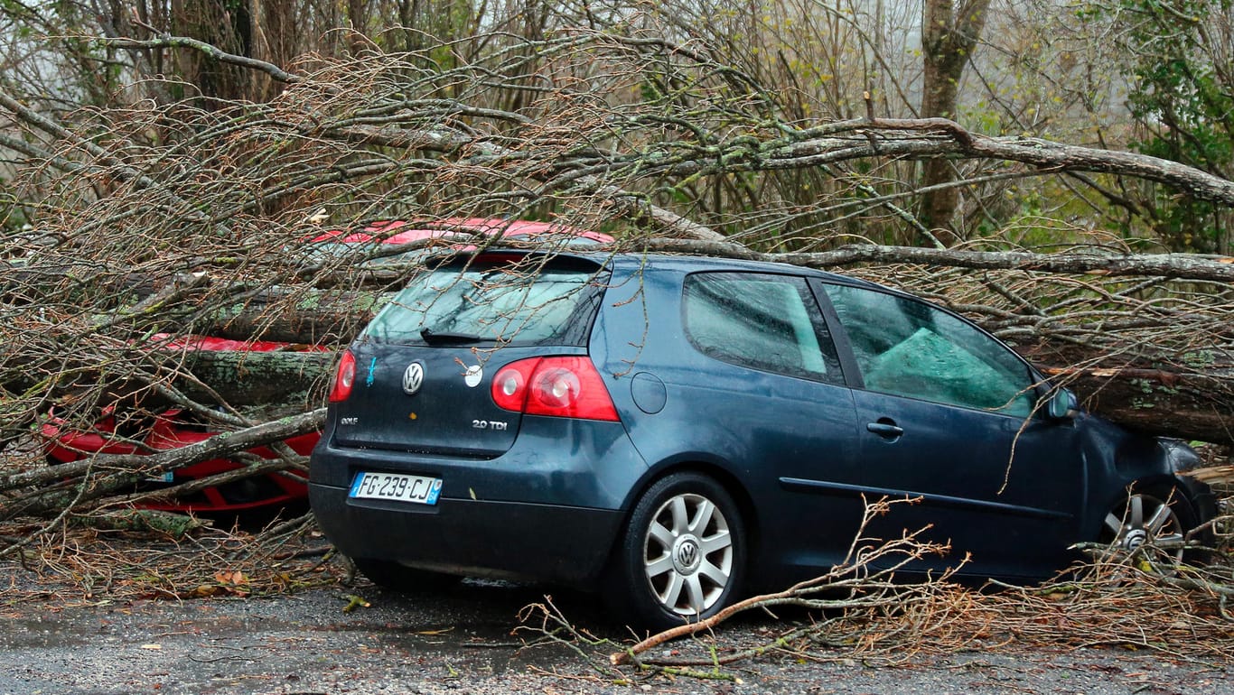 Ein umgestürzter Baum liegt auf einem Auto in Ascain: Heftige Sturmböen haben den Südwesten Frankreichs und die Mittelmeerinsel Korsika getroffen.