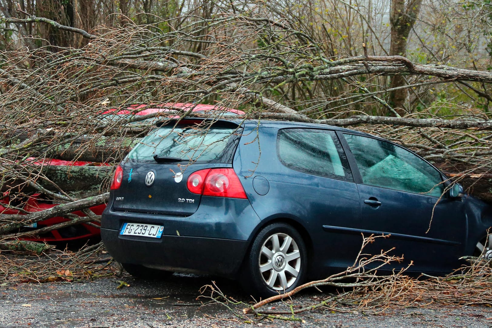 Ein umgestürzter Baum liegt auf einem Auto in Ascain: Heftige Sturmböen haben den Südwesten Frankreichs und die Mittelmeerinsel Korsika getroffen.