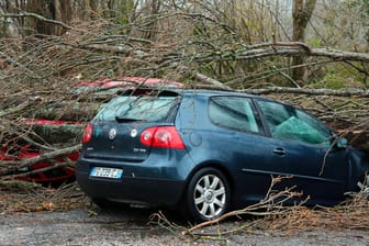 Ein umgestürzter Baum liegt auf einem Auto in Ascain: Heftige Sturmböen haben den Südwesten Frankreichs und die Mittelmeerinsel Korsika getroffen.