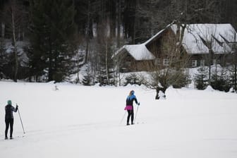 Skilangläuferinnen fahren am Fuße des Feldbergs in der Loipe.