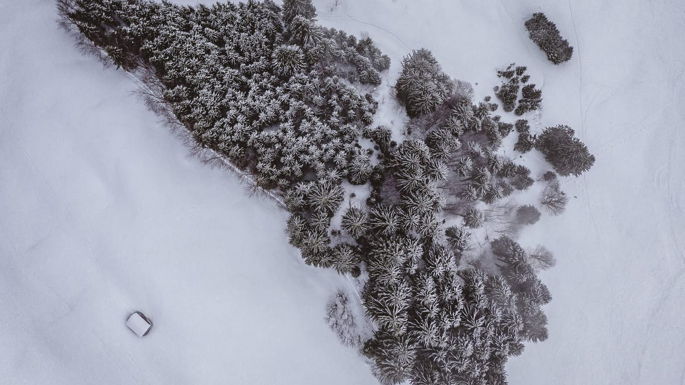 Ein Berg in Österreich (Symbolfoto) : Rettungskräfte fanden den Mann drei Meter tief im Schnee.